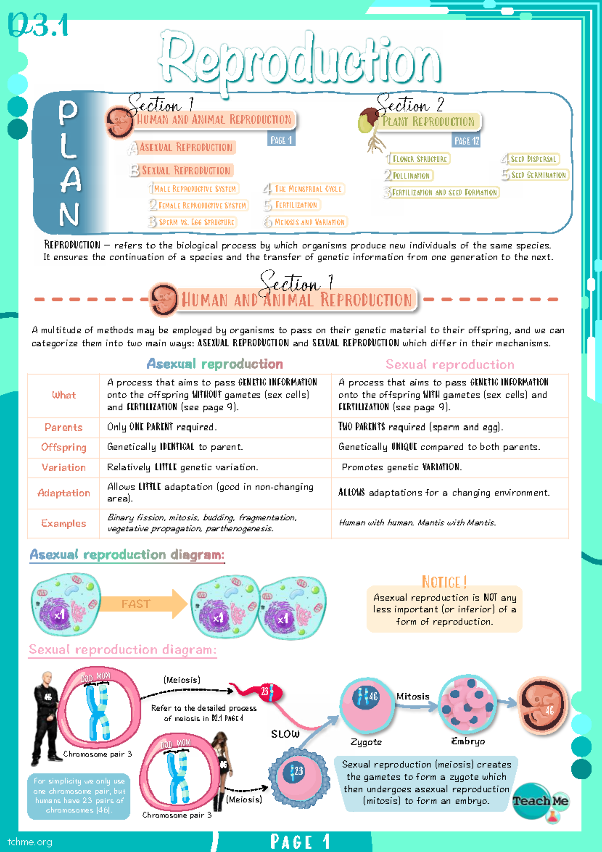 D3.1 Human and Plant Reproduction: Processes & Key Overview - Studocu