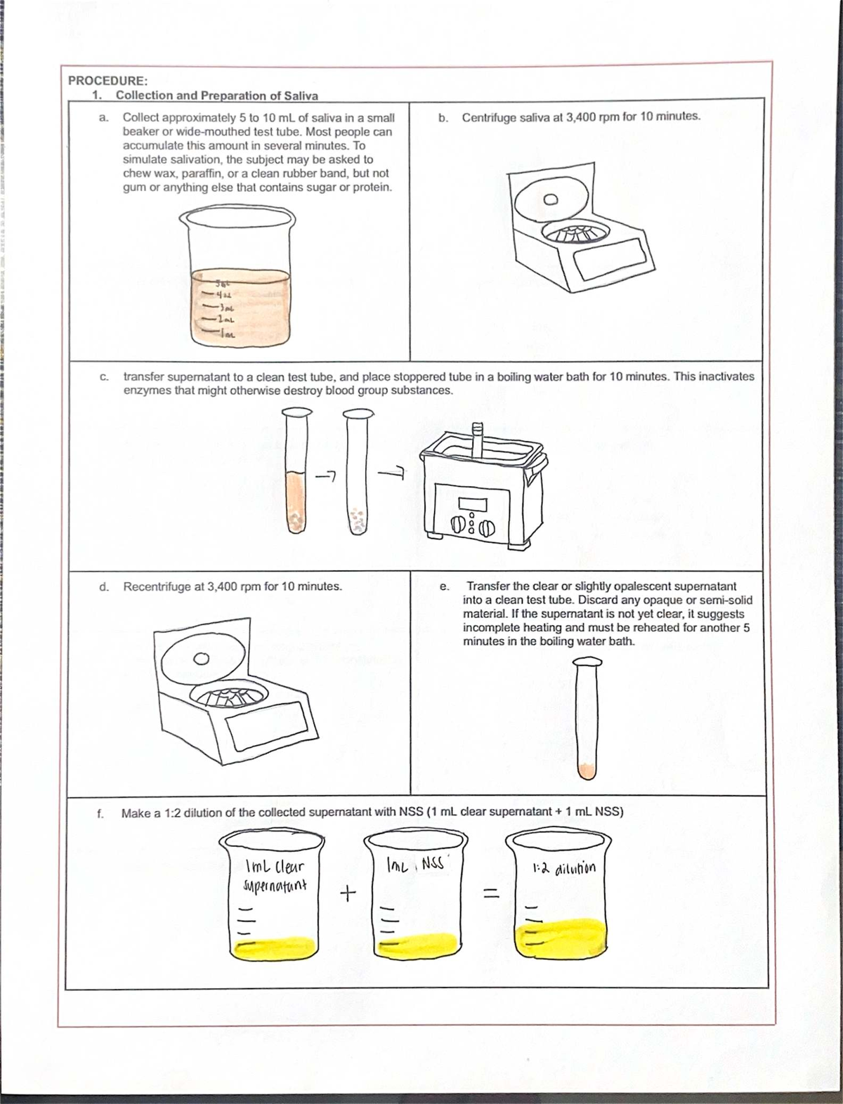 Saliva Collection and Secretor Status Testing Procedure 4M - Studocu