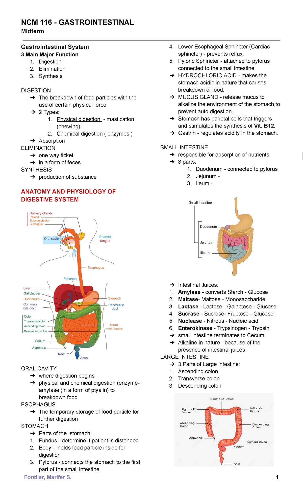 Ulcerative Colitis: Key Features, Diagnosis & Treatment Overview - Studocu