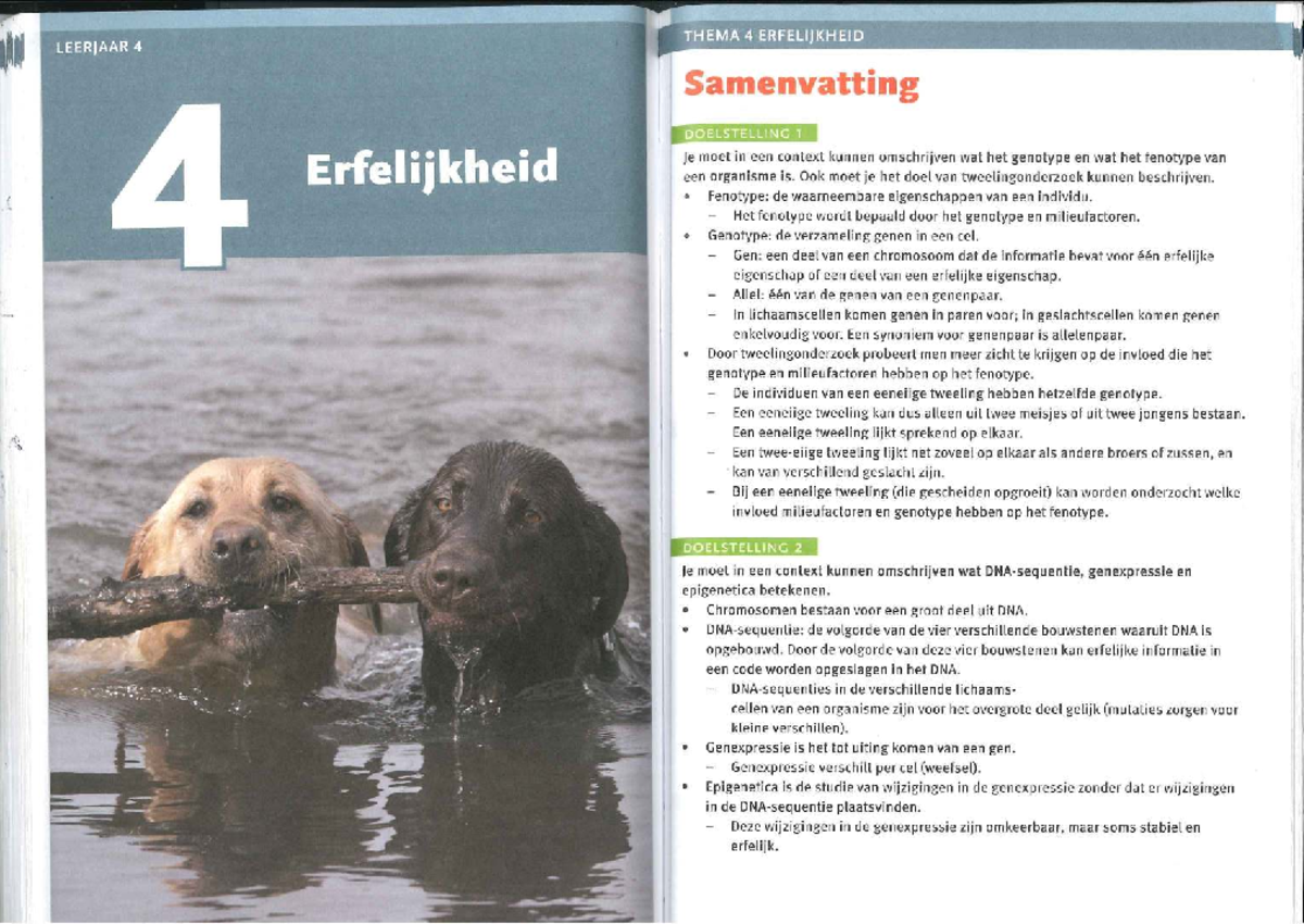 samenvatting-en-examentraining-thema-4-erfelijkheid-leerjaar-4