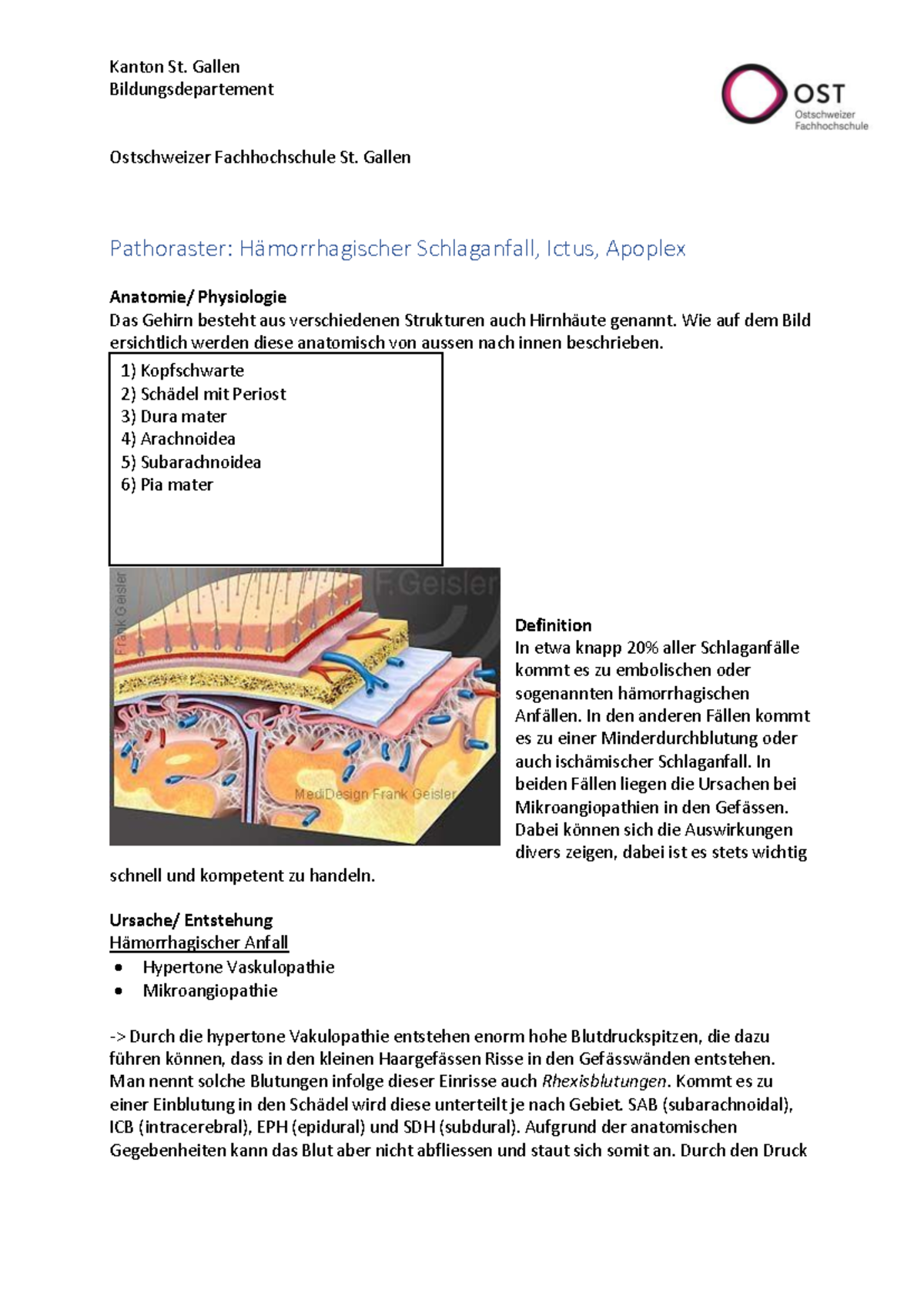 Pathoraster: Hämorrhagischer Schlaganfall - Anatomie und Therapie ...