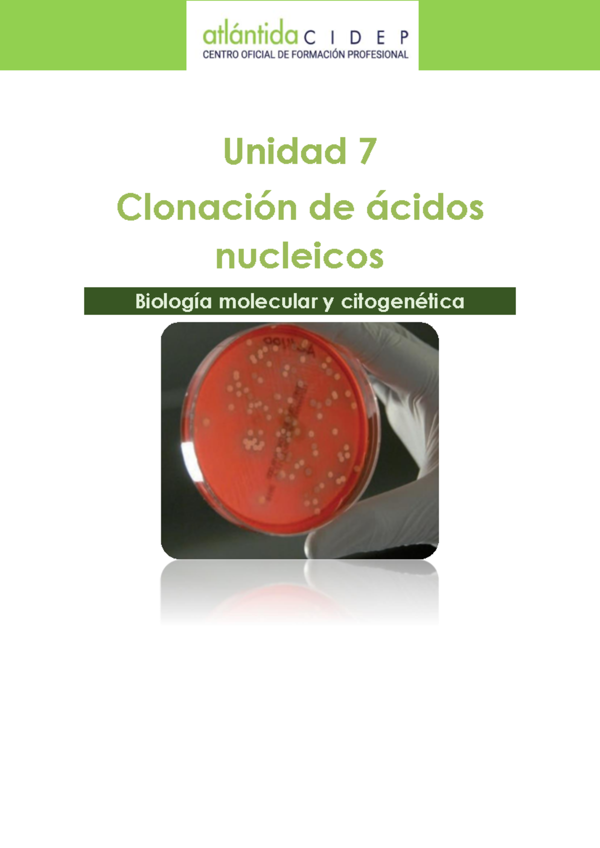 UD7 - Notas sobre Clonación y Biología Molecular - Studocu