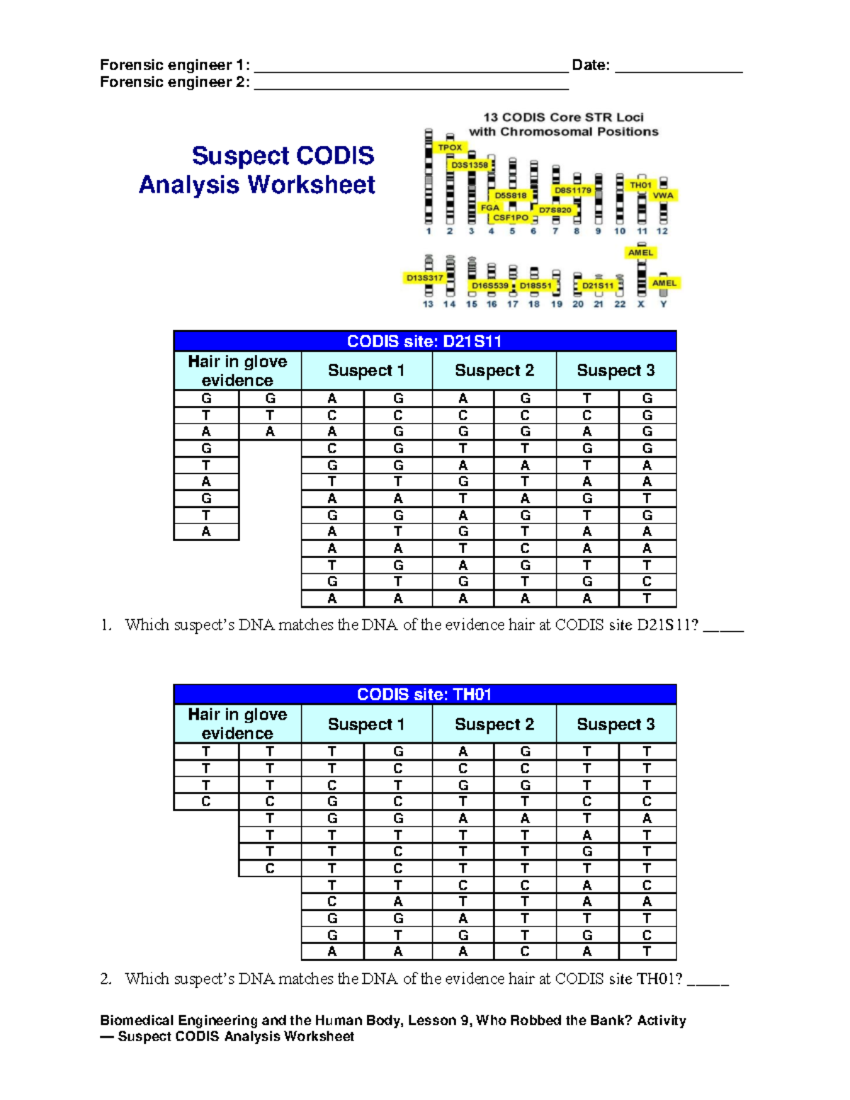 Cub Biomed Eng Lesson 09: CODIS Analysis Worksheet - Studocu