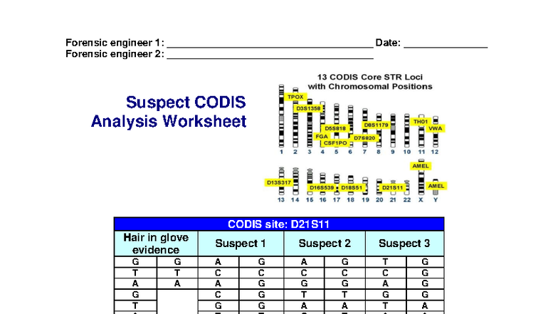 Cub Biomed Eng Lesson 09: CODIS Analysis Worksheet - Studocu