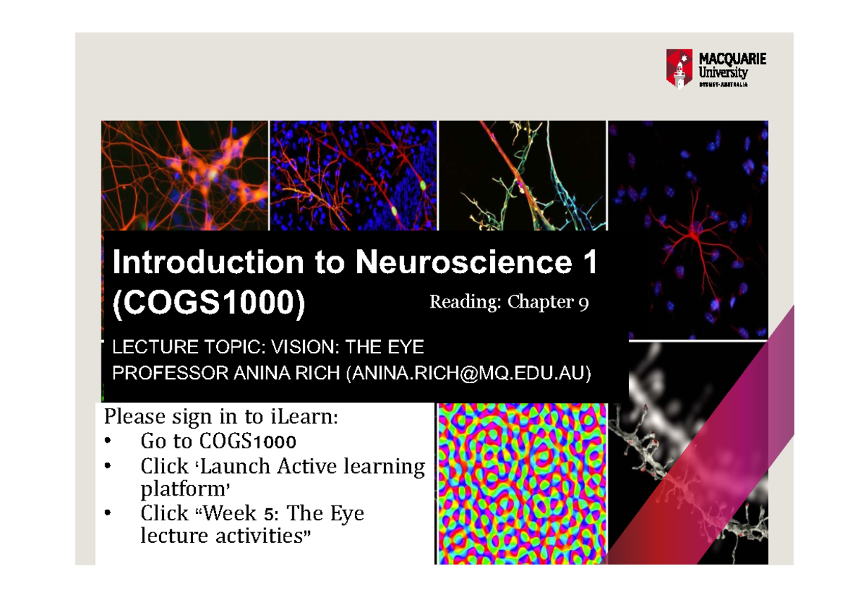 Neuroscience 7e XE: Week 5 Lecture Notes on The Eye - Studocu