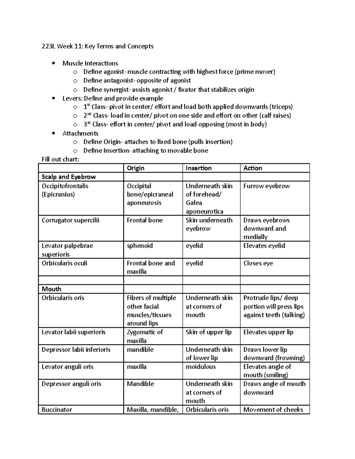 Muscle Origin/Insertion/Function 223L Week 11 Key Terms and Concepts