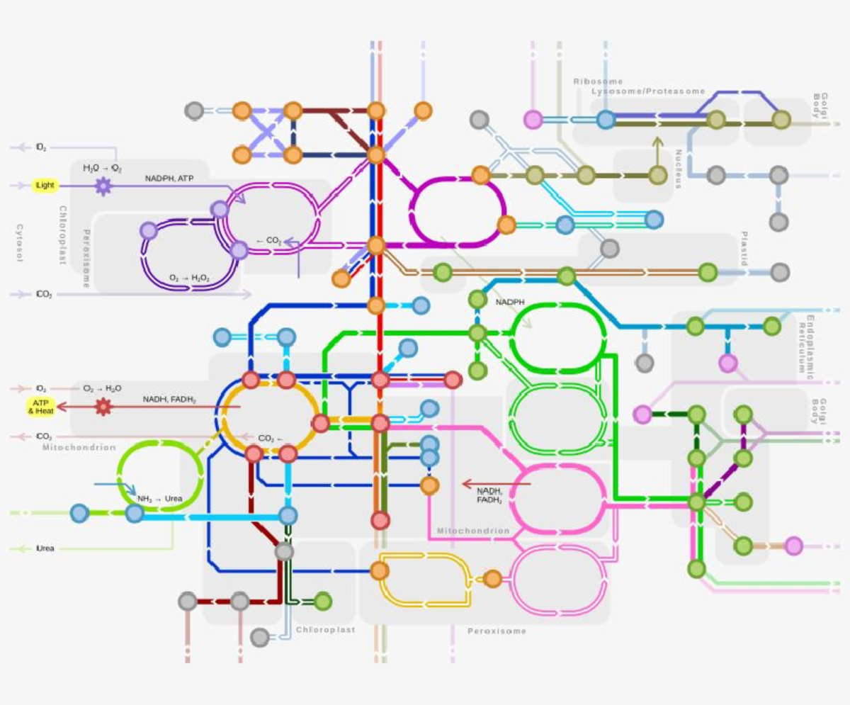 Metrrailmap - Understanding Metro Railway Systems in Detail - Studocu