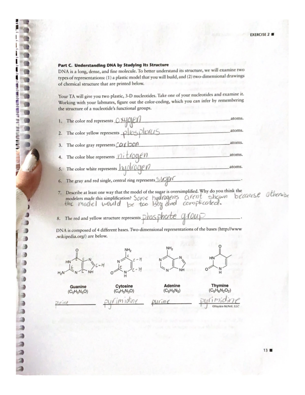 BISC+207+Week+9+Post+Lab - 21F BISC207 – Week 9 Yeast and UV (Ex. 12 ...