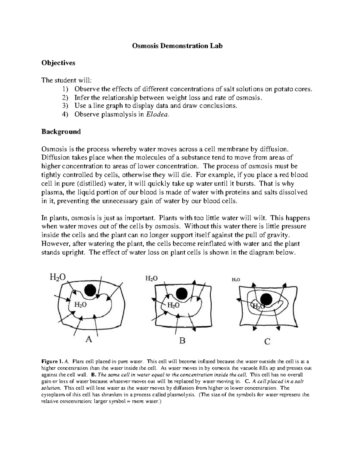 Osmosis Lab: Effects of Salt on Potato & Elodea Cells - Bio 101 - Studocu