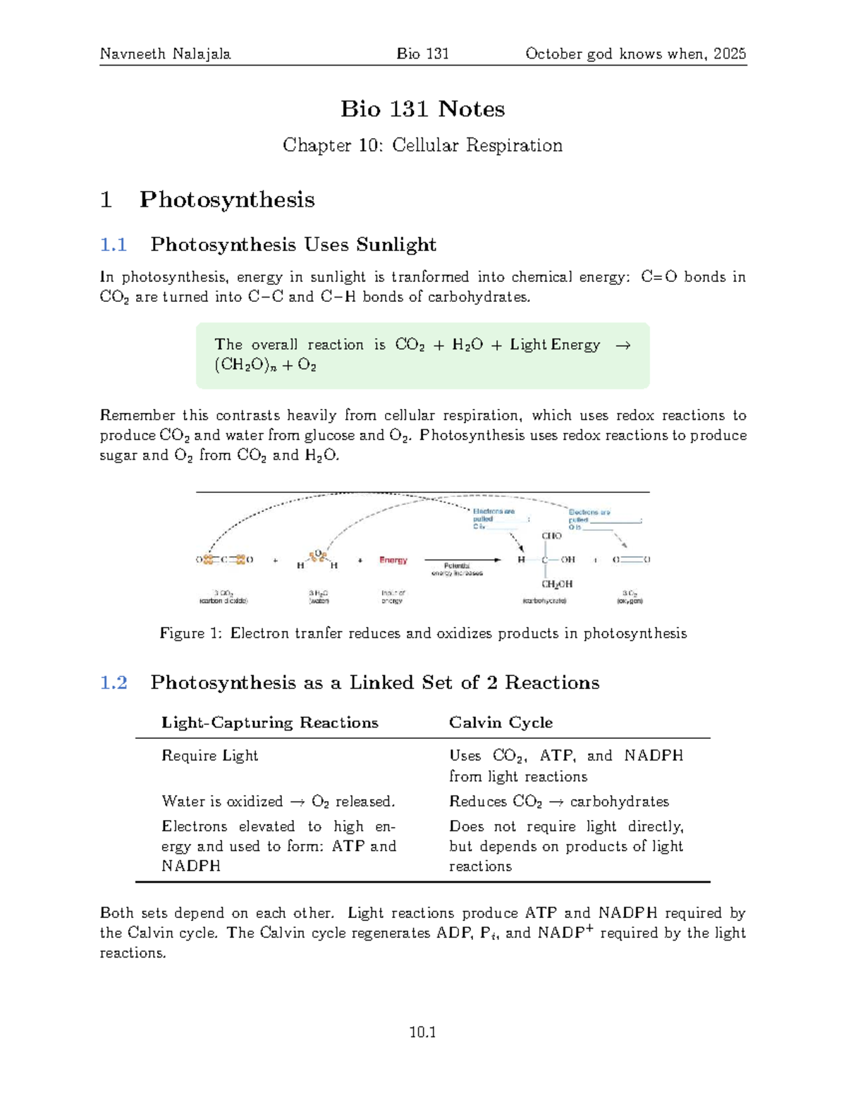 Bio 131 Final Exam Notes: Chapter 10 - Photosynthesis Overview - Studocu