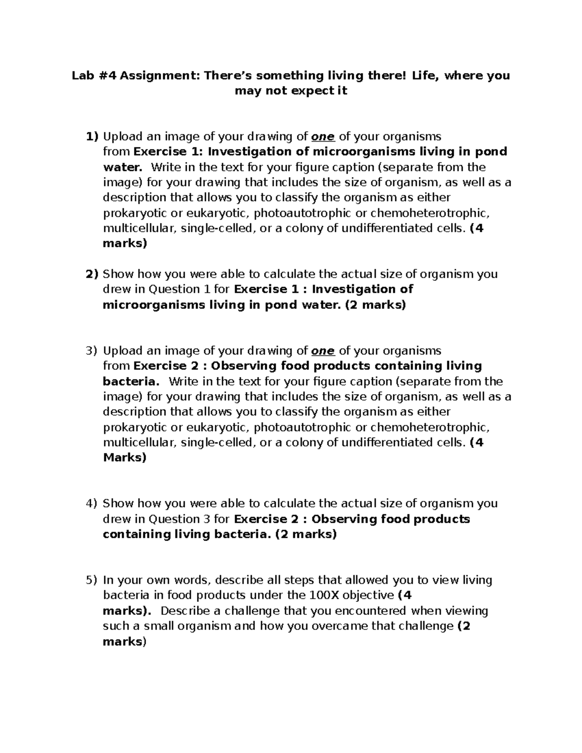 Lab 4 Assignment Questions - Lab #4 Assignment: There’s something ...
