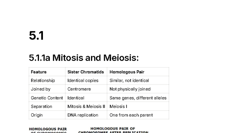 Biology 5: Mitosis and Meiosis Overview and Key Concepts - Studocu