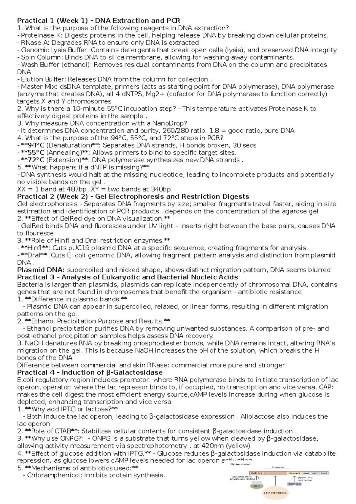 Practical notes - Practical 1 (Week 1) - DNA Extraction and PCR What is ...