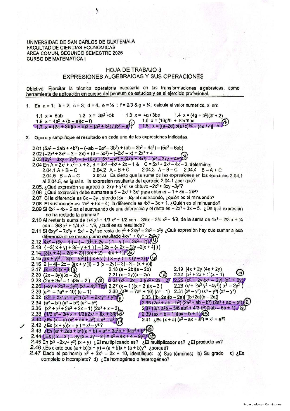 Matemática I - Hoja de Trabajo 3: Expresiones Algebraicas y Operaciones ...