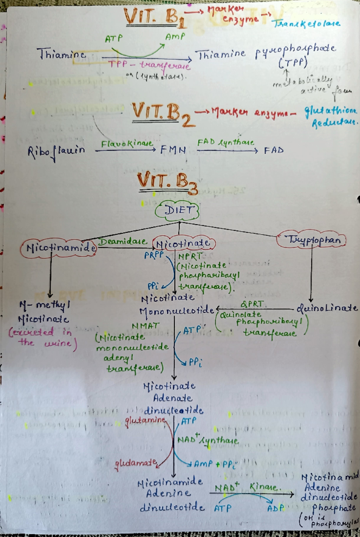 Vitamin B complex - Subject- MBBS handwritten notes Written language ...