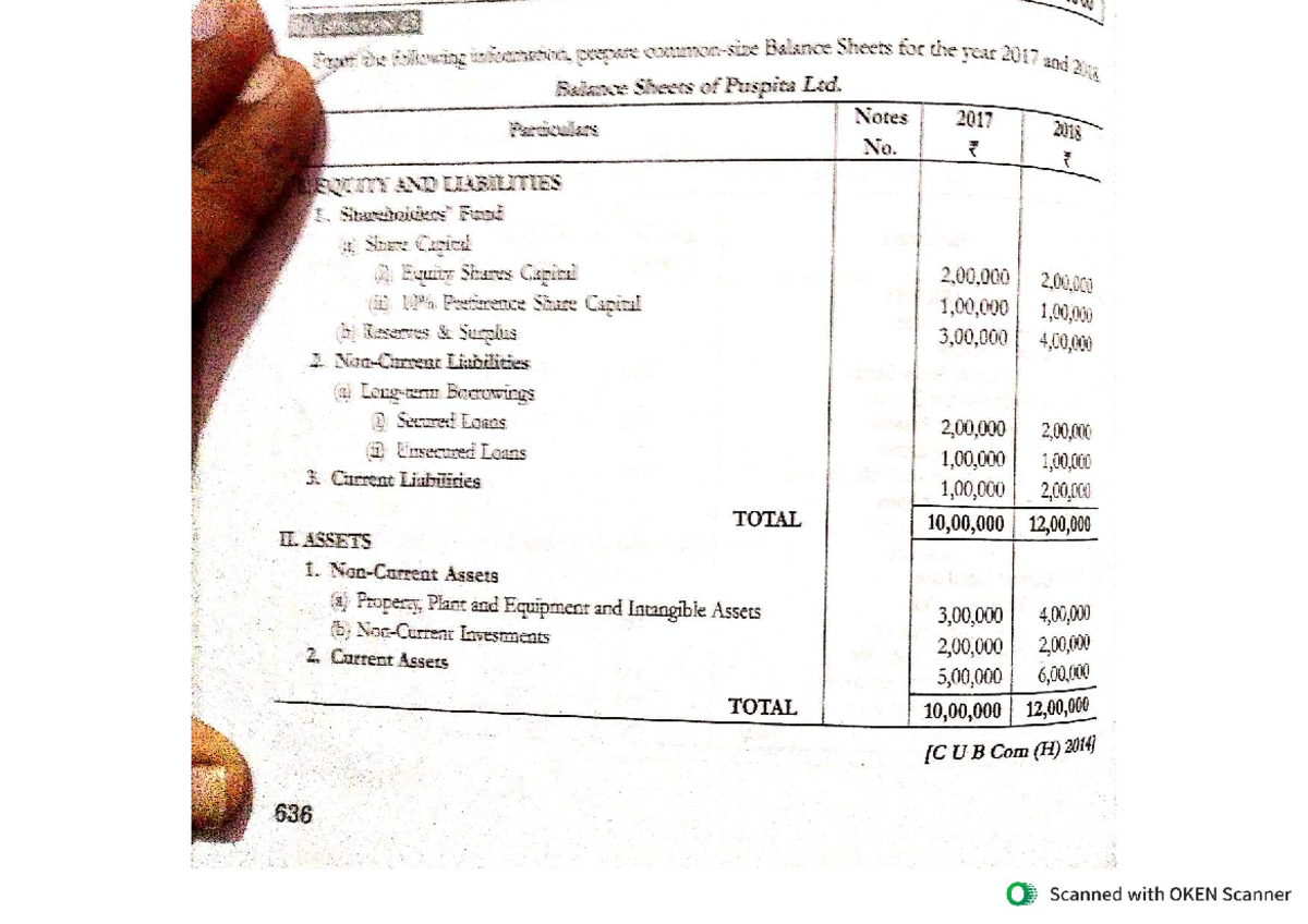 Balance Sheets & Income Statement Analysis for Puspita Ltd. (B Com H ...