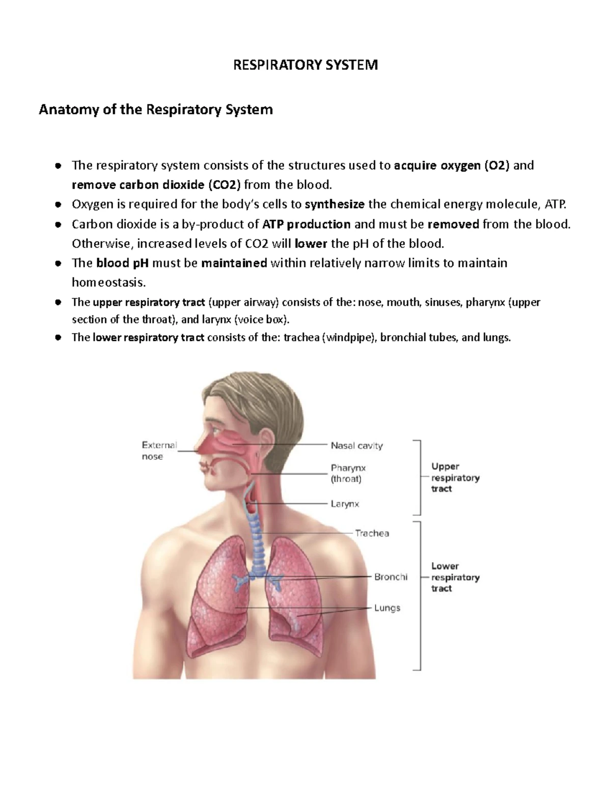CS 112 Lesson 9: Handling and Processing Blood Specimens for Lab Tests ...