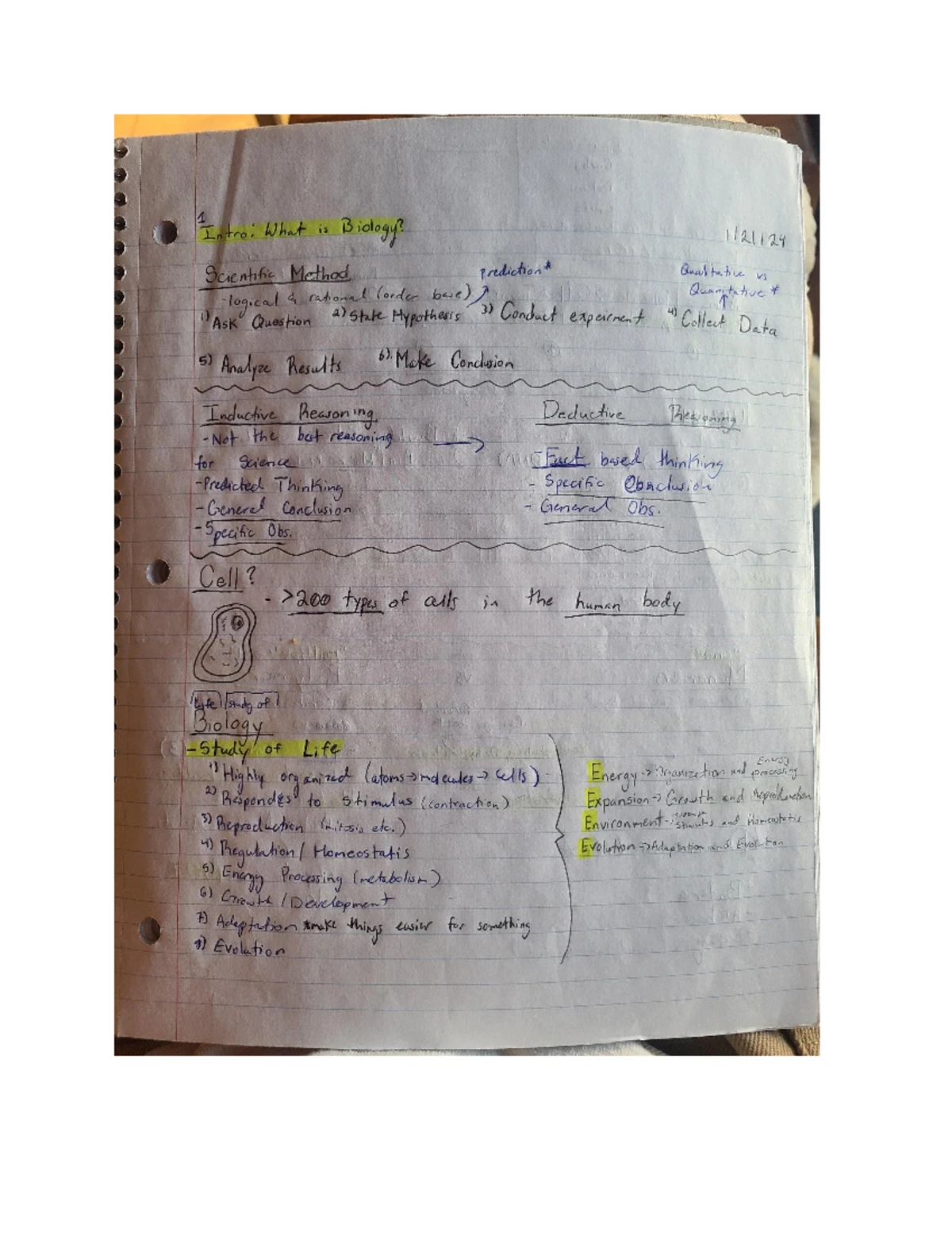BIO 211: Study Guide for Chapter 4 - Tissue Types & Functions Overview ...