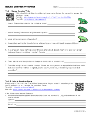 DNA Word Search Answer Key - Interactive Activity Guide - Studocu