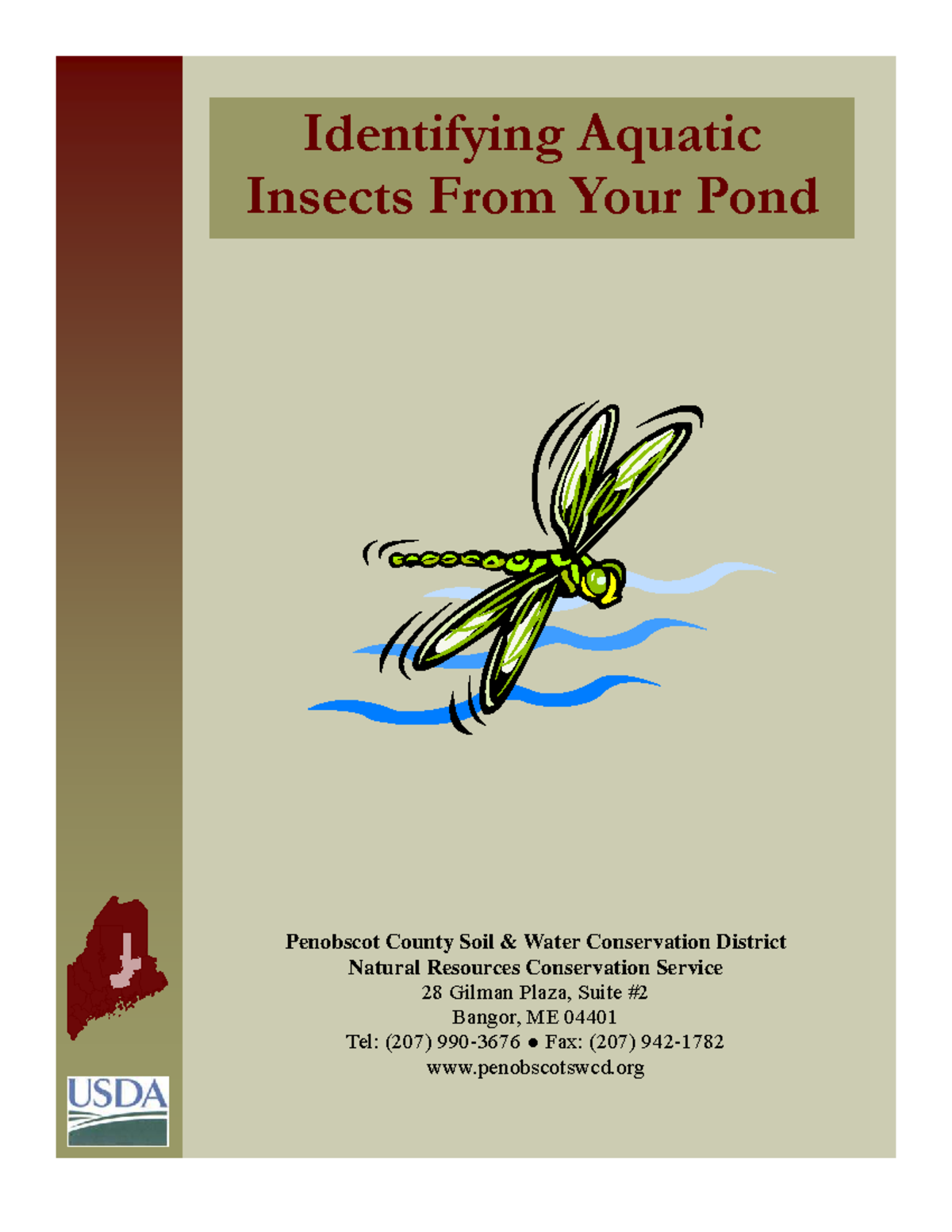 Identifying Aquatic Insects in Your Pond: A Guide for Students - Studocu