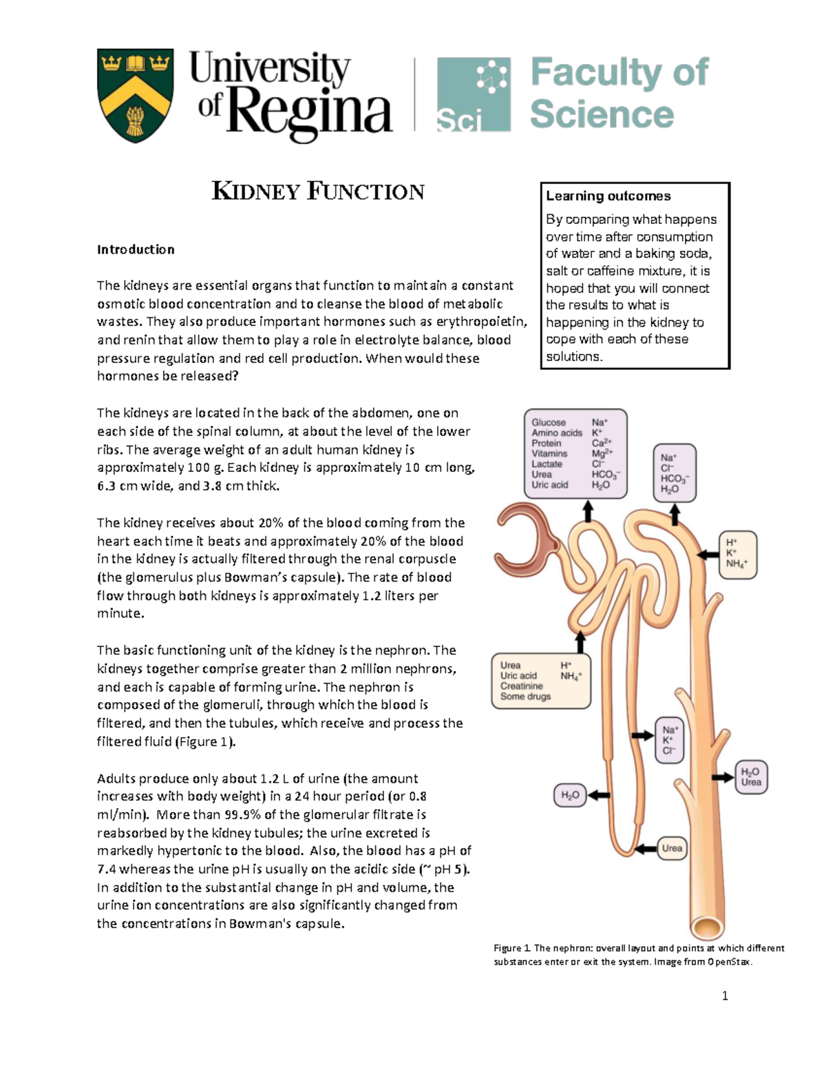 Lab 5 - Kidney function 2025 - K IDNEY F UNCTION Introduction The ...
