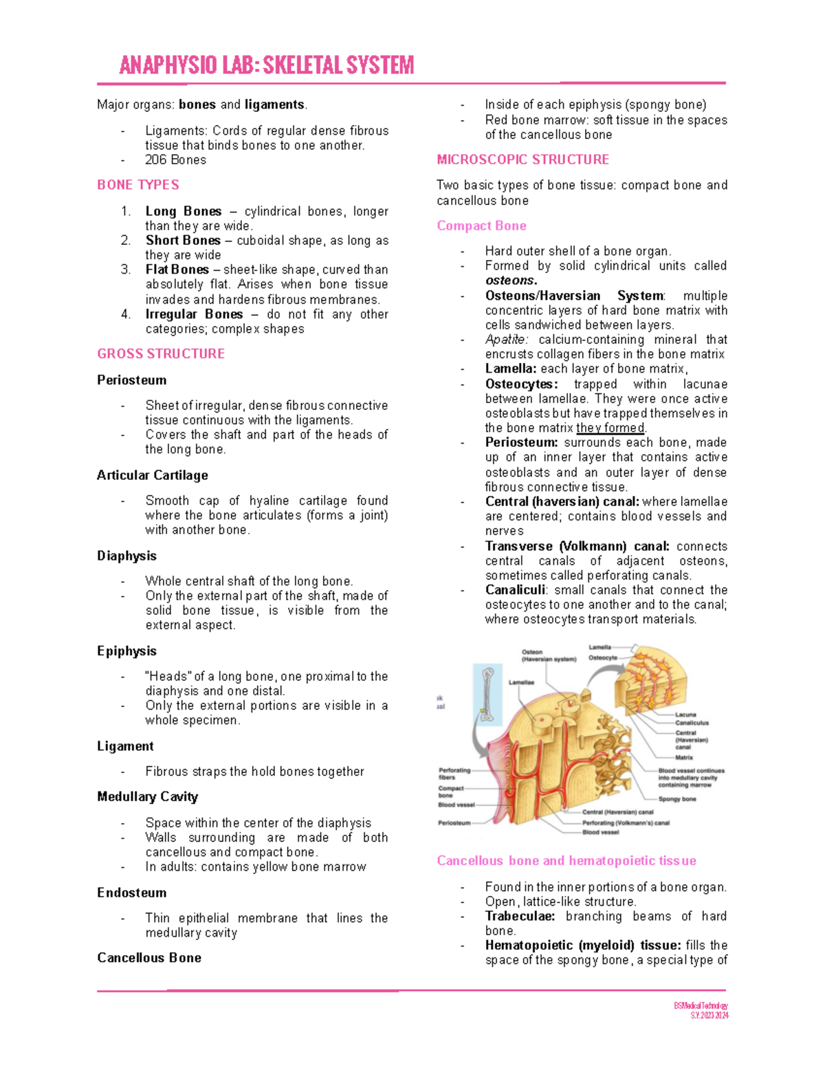 BS Medical Technology - Skeletal Anatomy Lab Notes and Key Concepts ...