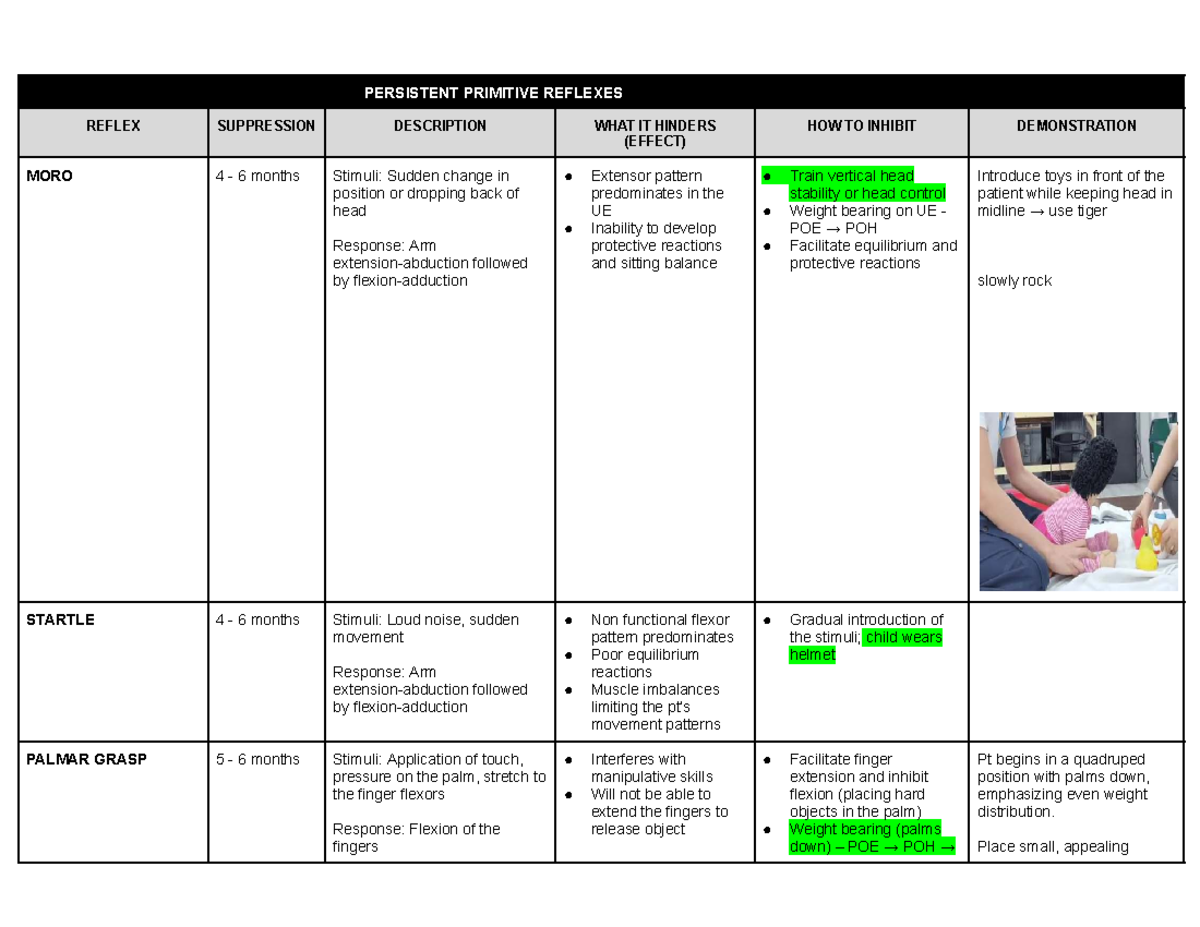 Reflexes Guide: Inhibition and Facilitation Techniques for Development ...