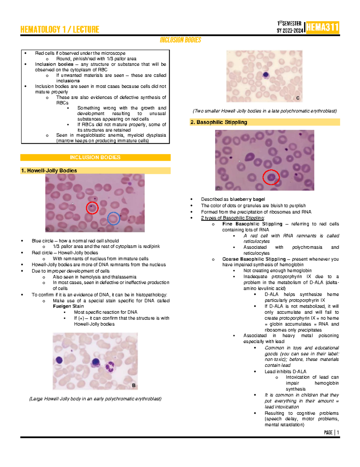 Week 9 - Inclusions - Hematology HematologyHematology Hematology ...