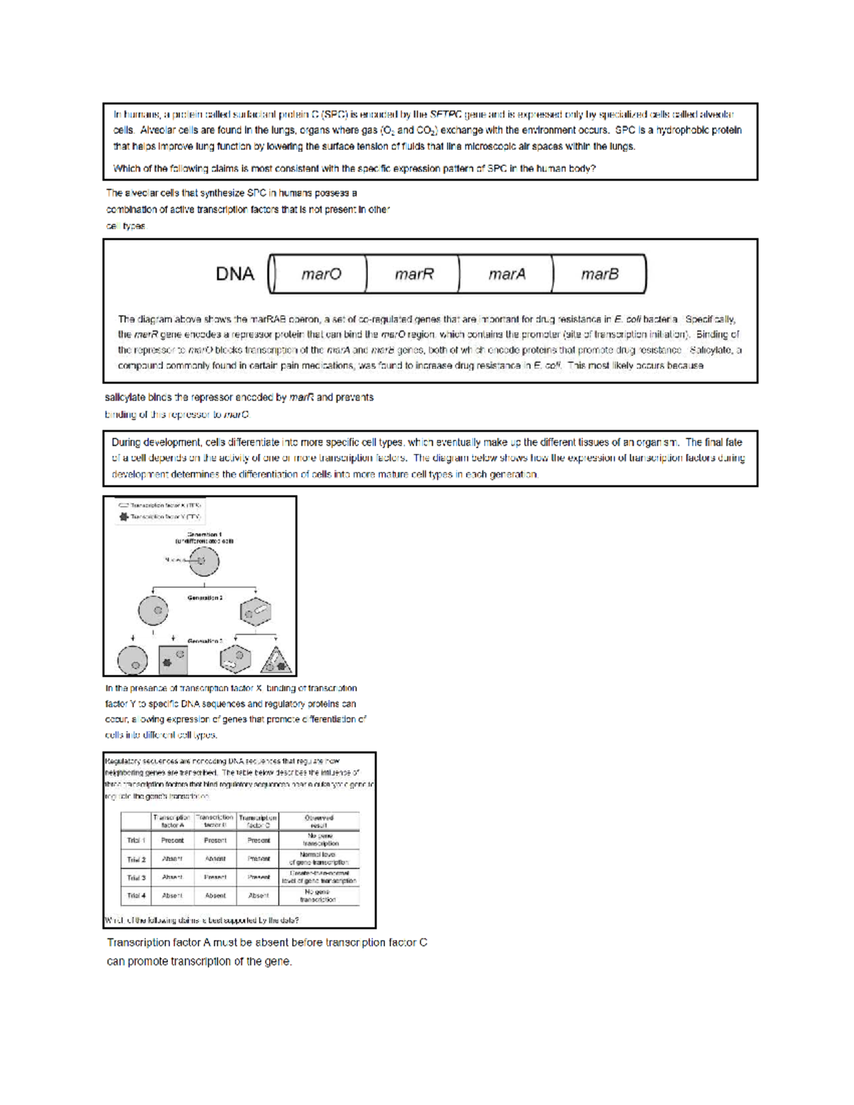 Notes - eeee - In humans, a protein called surfactant protein C (SPC ...