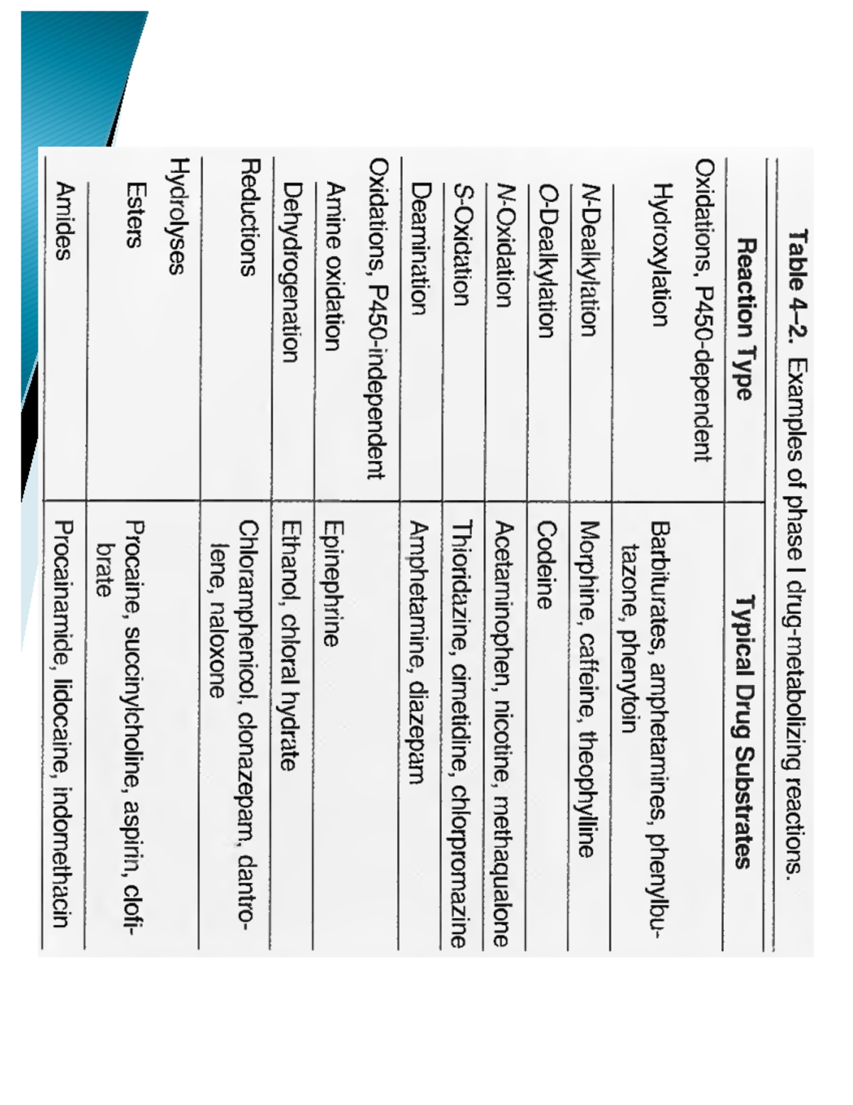 Metabolism-Tables - notes - Table Examples of phase I reactions ...