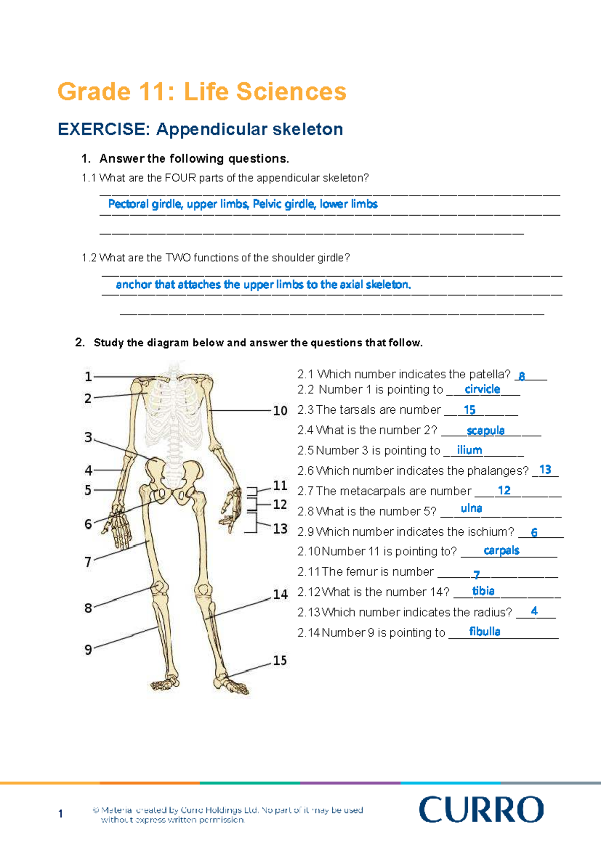 Grade 11 Life Sciences: Appendicular Skeleton Exercise QP - Studocu