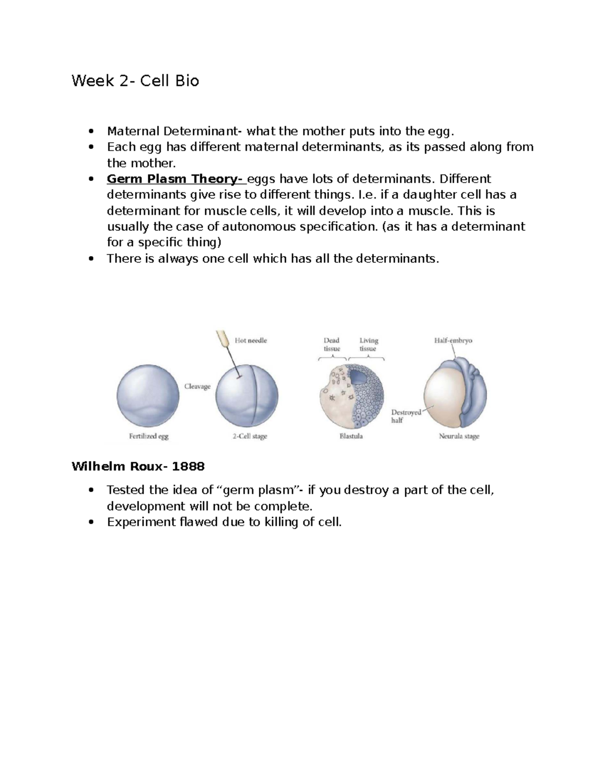 Week 2 - Cell Bio 3338A: Maternal Determinants & Cell Specification ...
