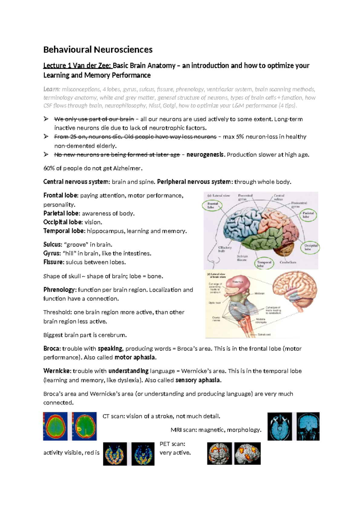 Behavioural Neurosciences Lecture 1: Brain Anatomy & Memory ...