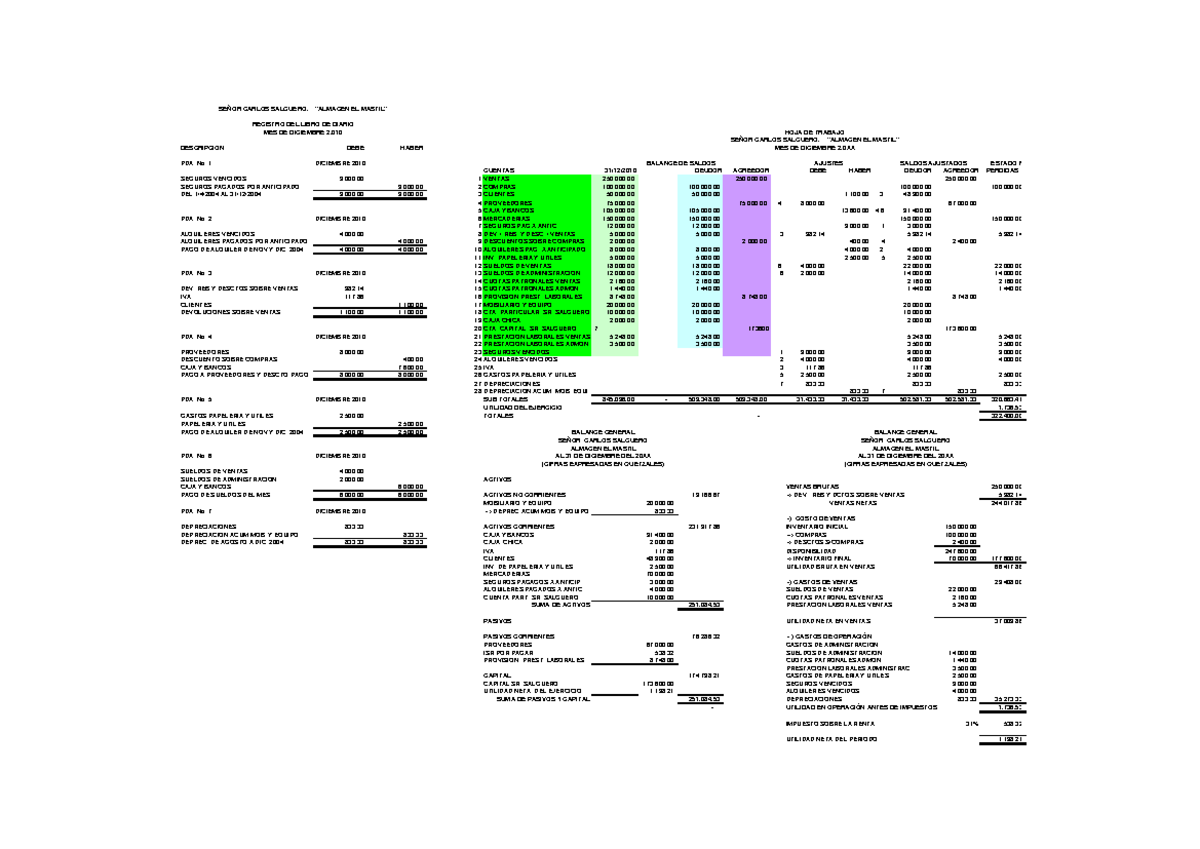 212585853 Balance General y Estado de Resultados de Almacén El Mástil - Document Preview