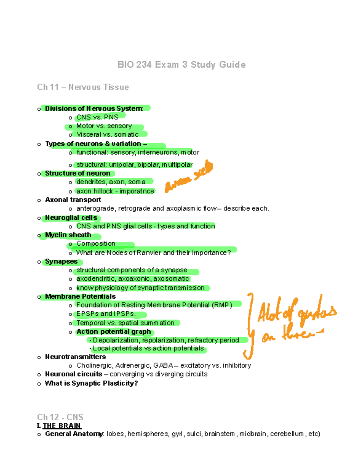 BIO 234 Exam 3 Study Guide: Nervous System & Brain Anatomy Review - Studocu