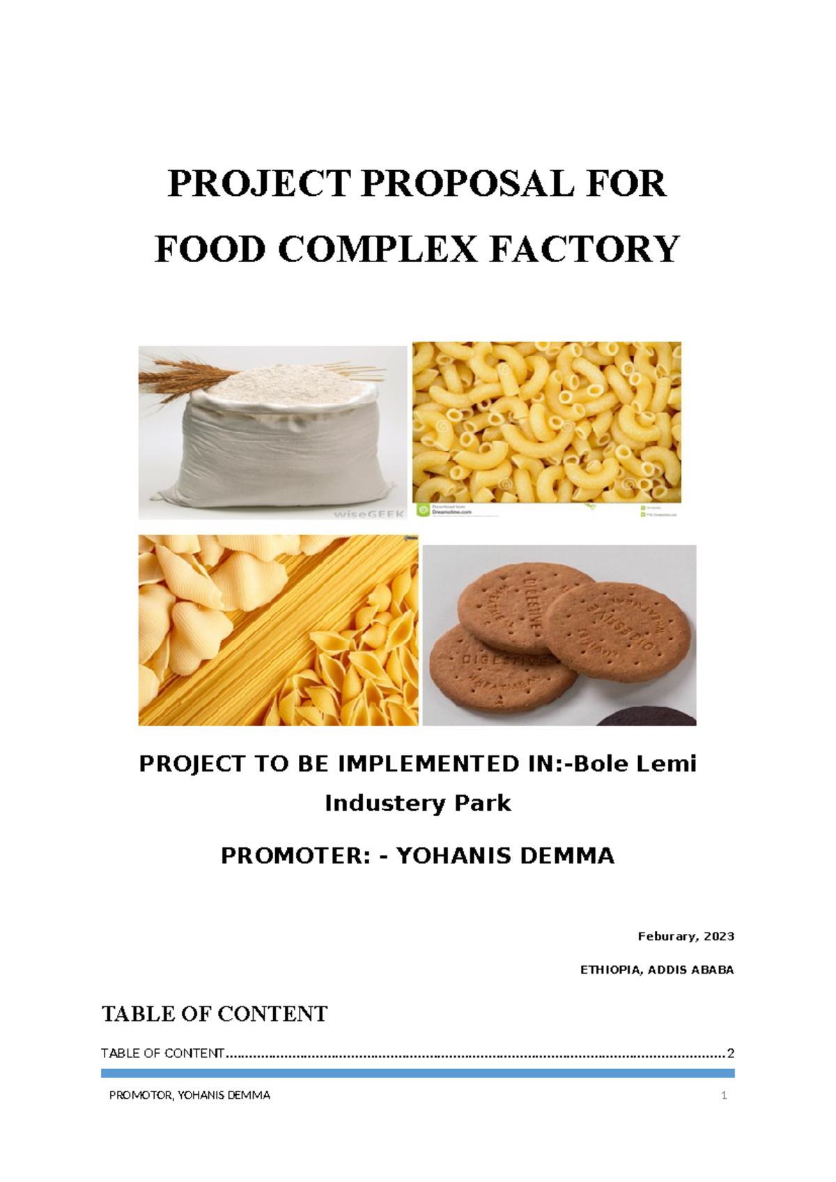 PROJECT PROPOSAL FOR FOOD COMPLEX FACTORY (ETHIO 101) - YOHANIS DEMMA ...