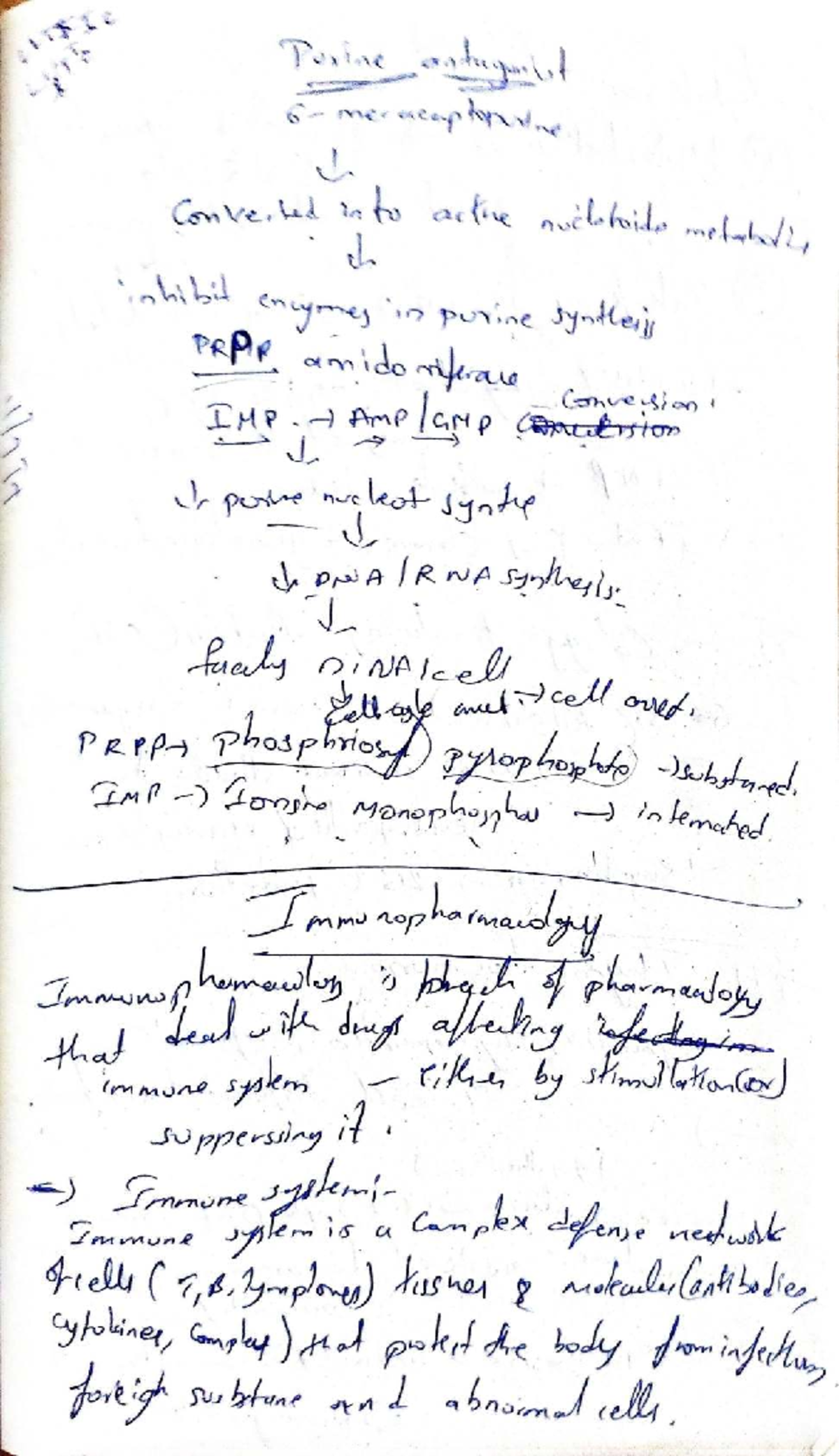 PRPPR Final Exam Notes: Purine Metabolism & Immune Pharmacology - Studocu