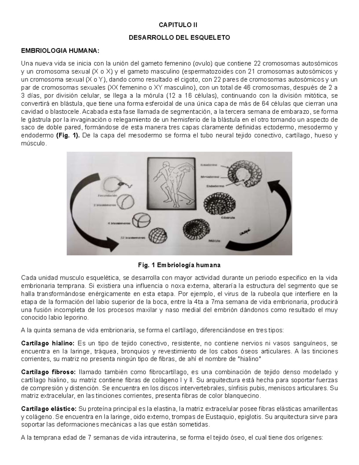 Libro de Traumatología - Capítulo II y III: Esqueleto y Fisiología Ósea - Document Preview