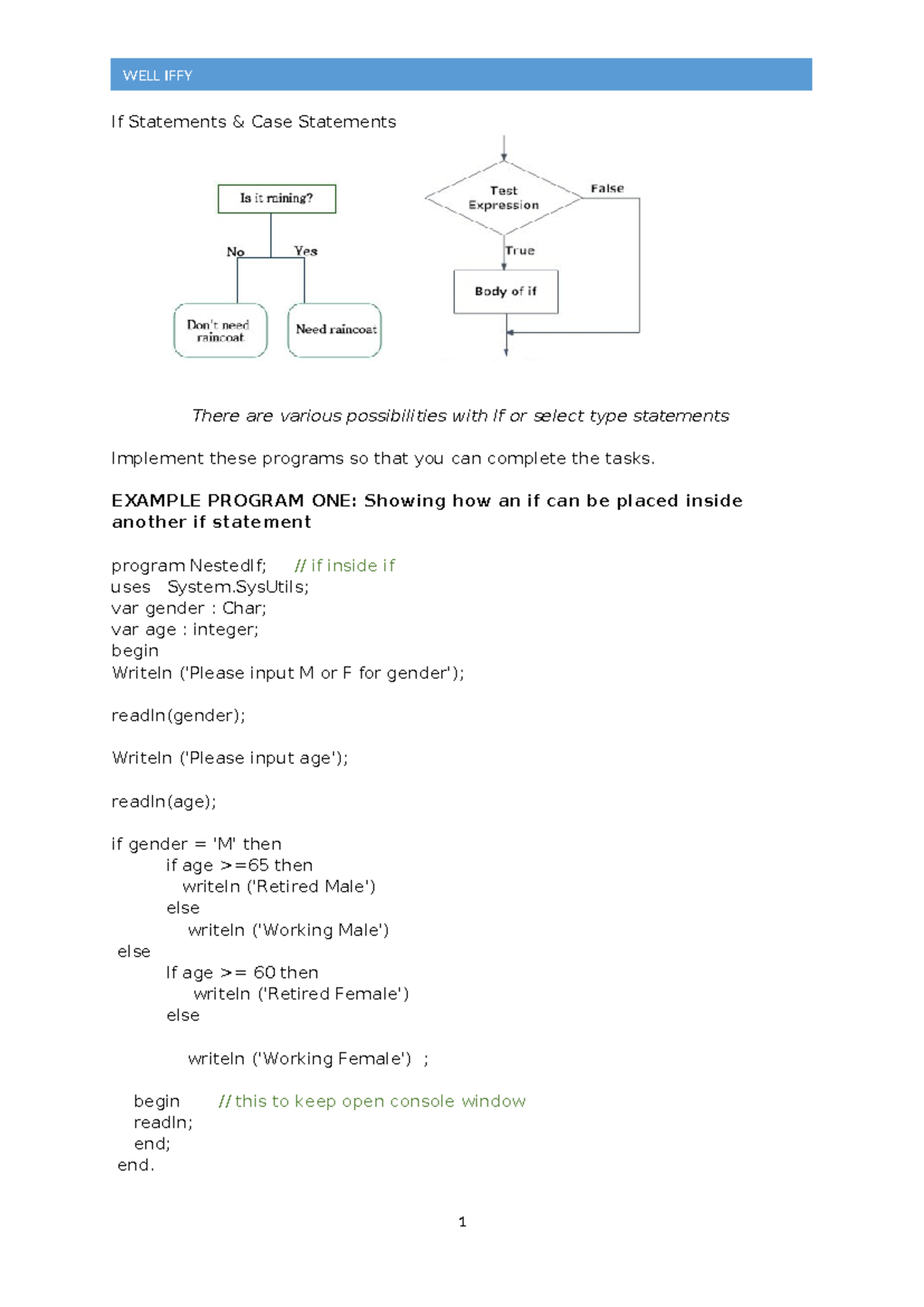 Programming Workshop 3a: If and Case Statements Examples - Studocu