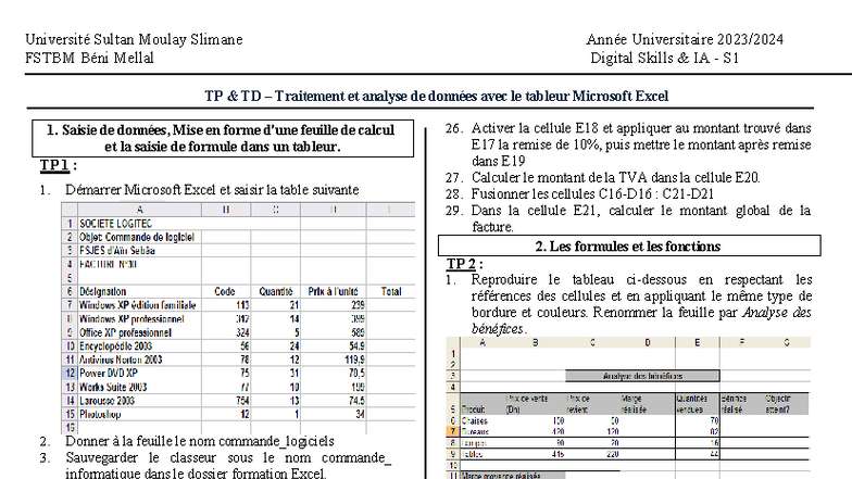 Digital Skills IA S1 TP TD: Traitement et Analyse de Données Excel ...