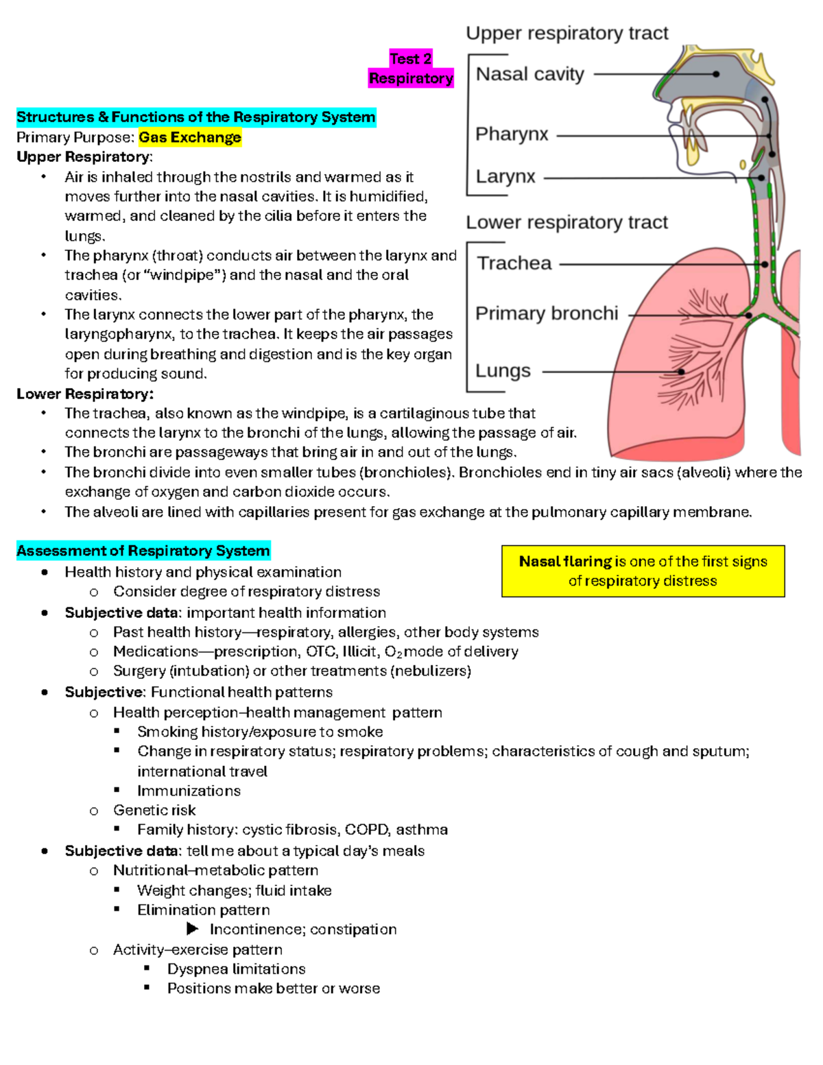 Test 2: Respiratory Structures & Functions in Gas Exchange - Studocu