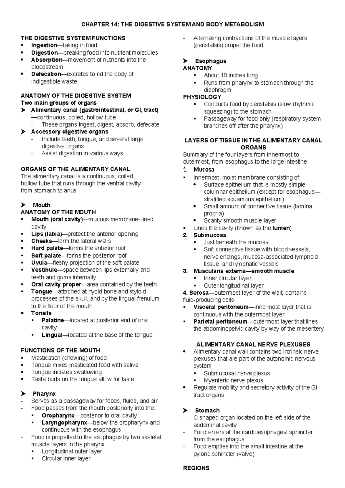 The Digestive System - Chapter 14 Notes and Overview - Studocu