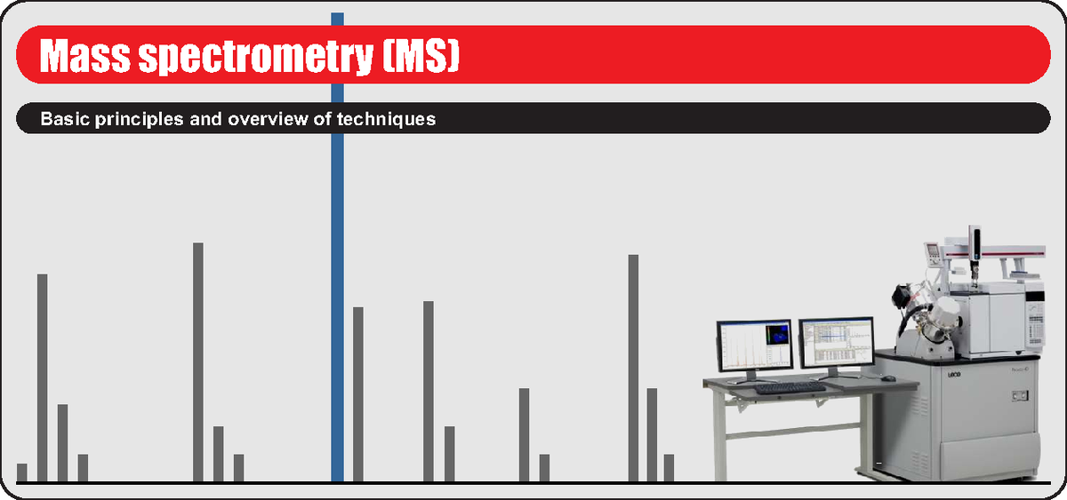 2025 MS Theory & Instrumentation: Principles & Techniques Overview ...