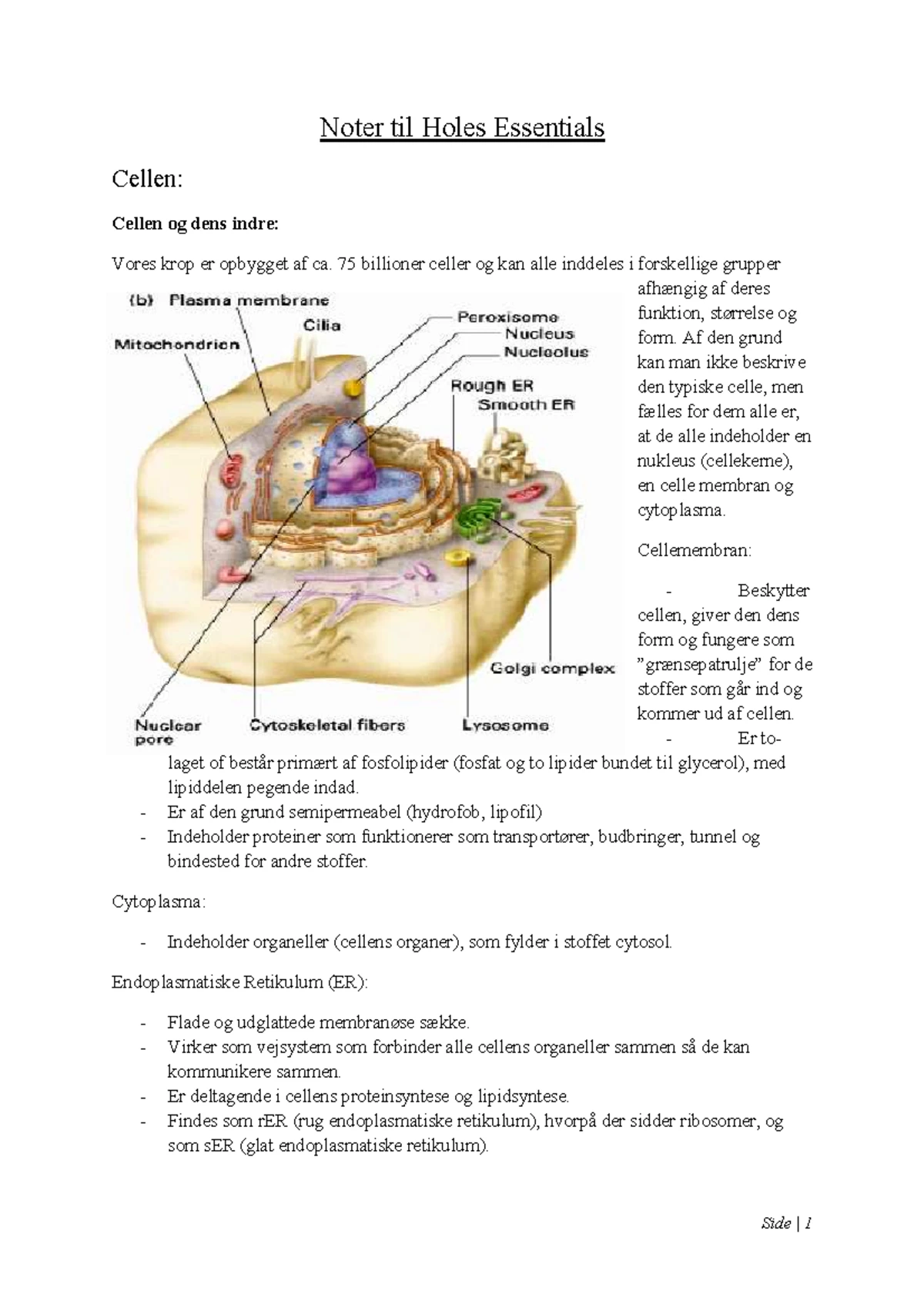 Revised Limbic System Model: Insights into Memory, Emotion, and Behavior -  Studocu, image size:1200x1698