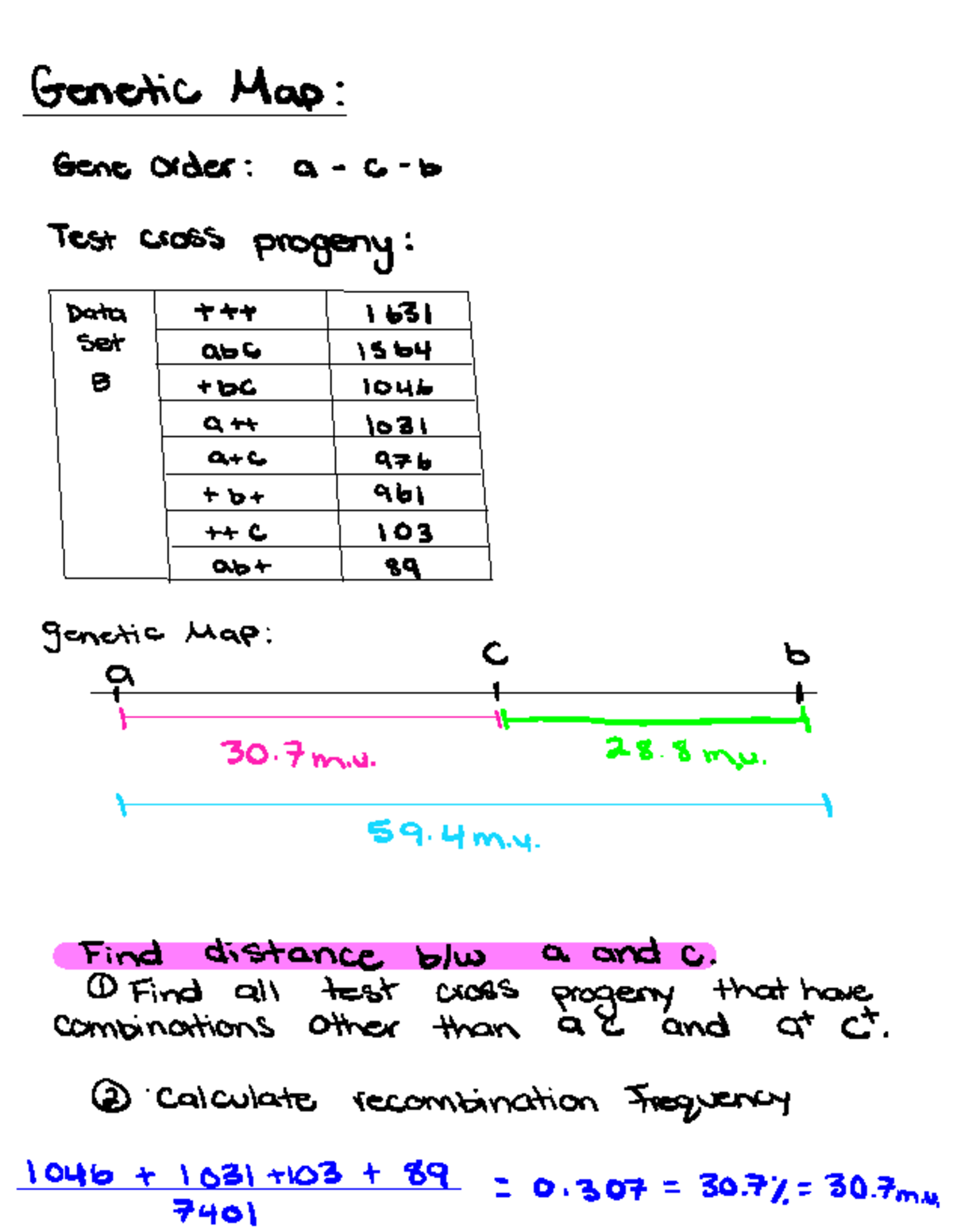 Genetic Mapping and Test Cross Analysis: Assignment 1631 - Studocu