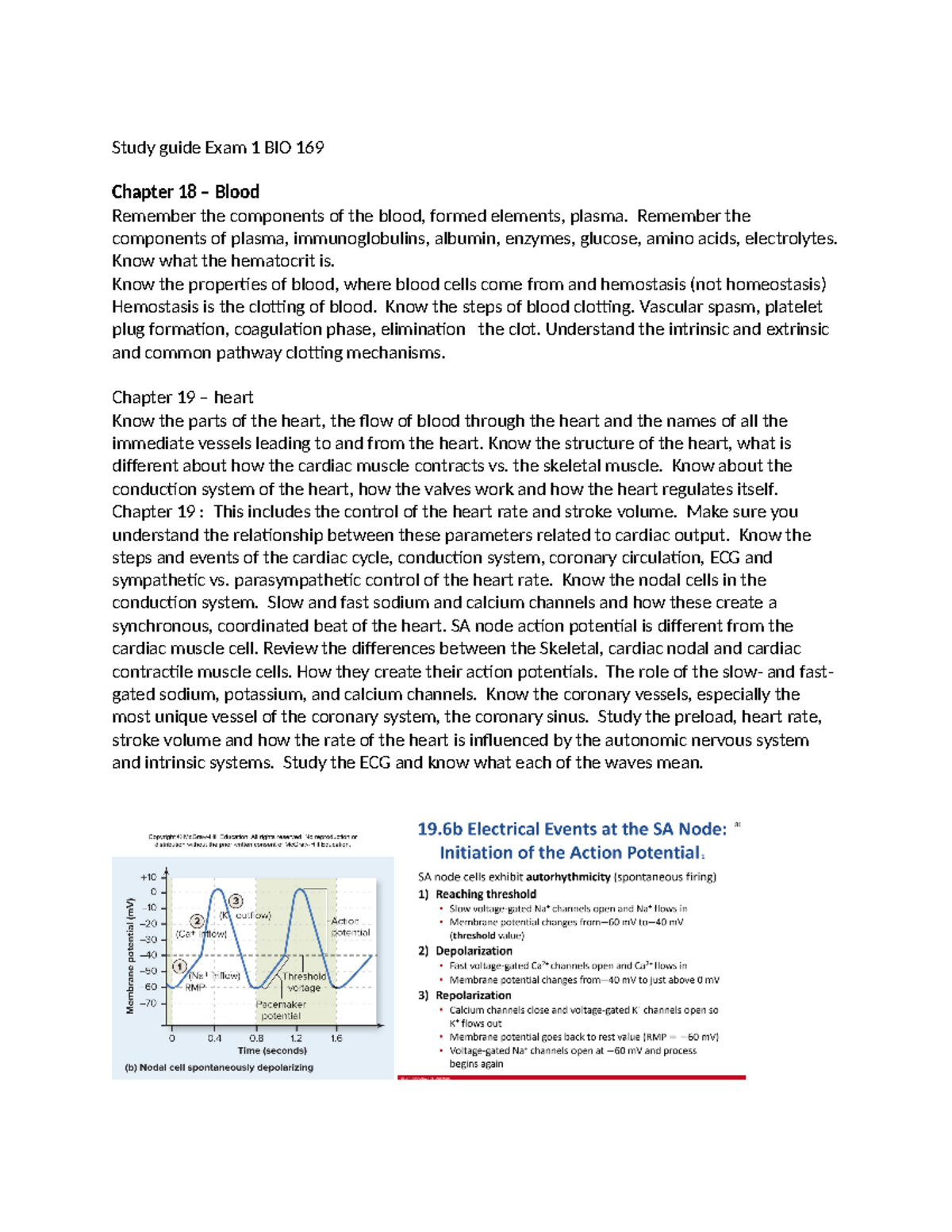 Study Guide for Exam 1 - BIO 169: Blood, Heart, & Respiratory Systems ...