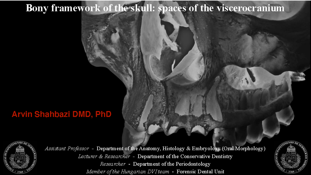 Bony Framework of the Skull: Viscerocranium Overview (ANAT 101) - Studocu