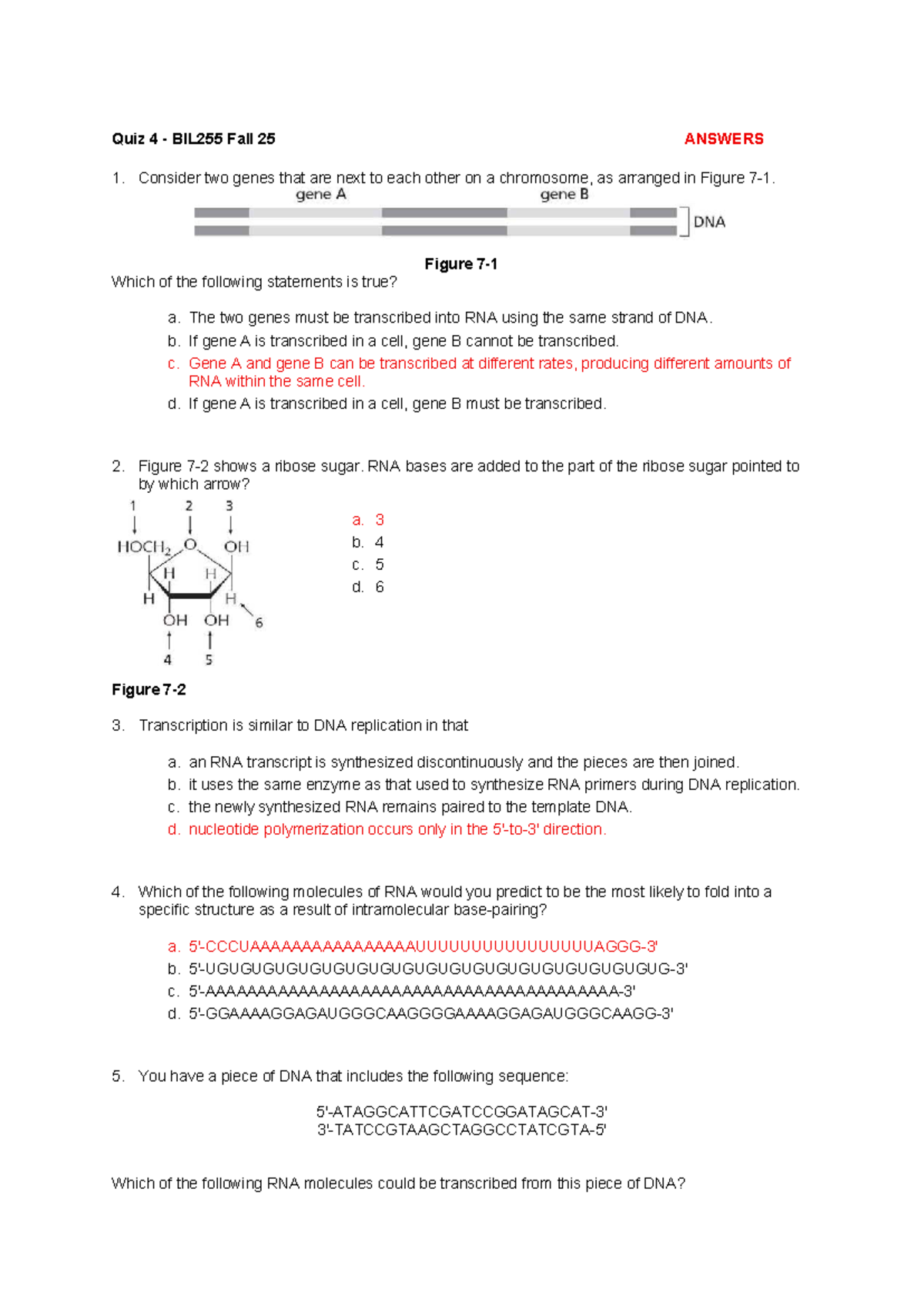BIL255 Fall 25 Quiz 4 Answer Key and Explanations - Studocu