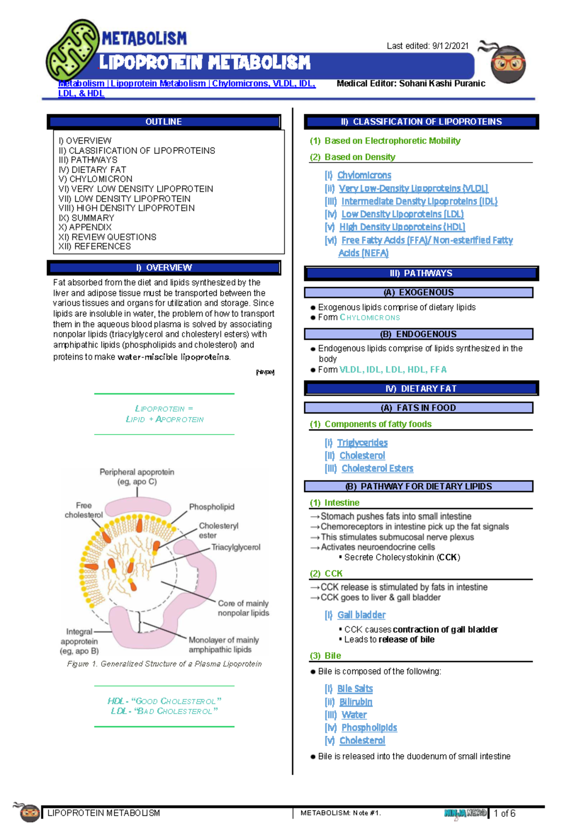 LIPOPROTEIN METABOLISM: Overview & Pathways (MED 101) - Studocu