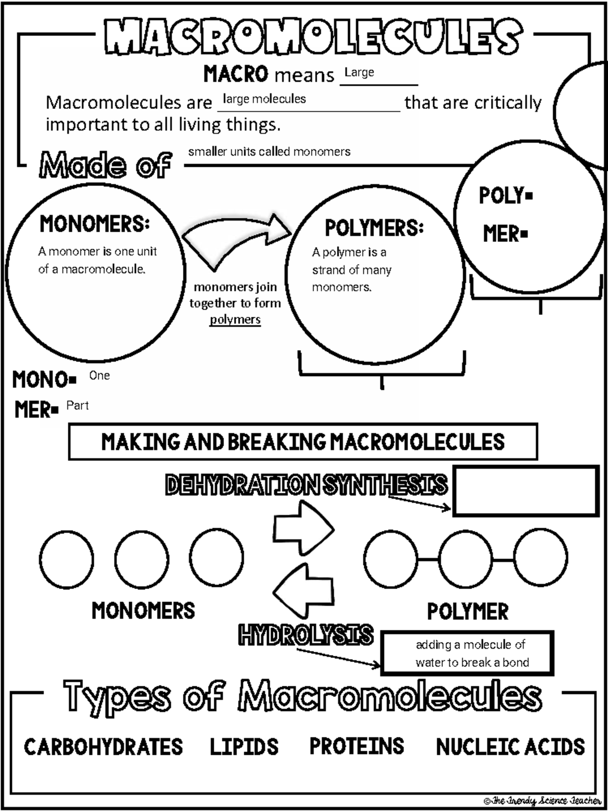 Macromolecules Notes (BIO 101): Structure, Function, and Types - Studocu